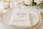 minimalist wedding place card mockup, elegant name card on plate setting, ivory napkin gold rim plate, modern serif typography wedding table decor, neutral luxury wedding aesthetic
